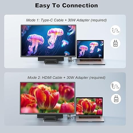 24" Large Portable Monitor, 1080P FHD 100Hz Laptop Screen Extender, 125% sRGB IPS Monitor Extender, USB C HDMI Office Gaming with Detachable Stand, Travel monitor for Window MAC Phone Xbox Switch