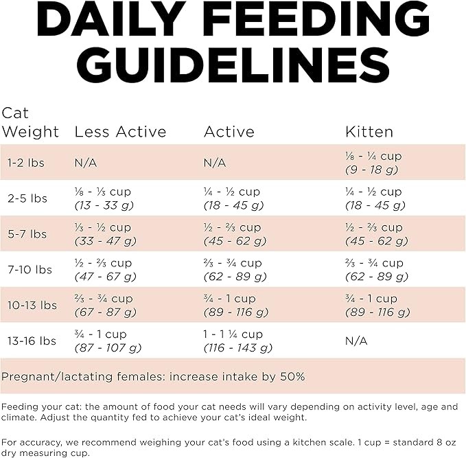GO! SOLUTIONS Digestion + Gut Health Salmon Recipe with Ancient Grains for Cats, 16 lb Bag - Dry Cat Food for Indoor and Outdoor Cats of All Life Stages - Including Seniors